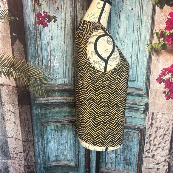 Chaps petite brown and black sleeveless blouse, size Petite medium, GUC - Picture 6 of 11
